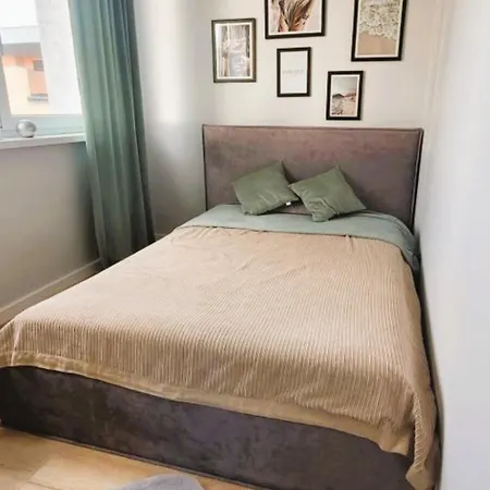 Apartment Apartament 8 Pietro